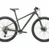 Specialized Rockhopper Elite 29, Sage Green/oak Green -Giant Liv Verkäufe 1dfbc318 b948 46ef 8928 017314982321