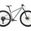 Specialized Rockhopper Expert 29, Silver Dust/black Holographic -Giant Liv Verkäufe 20c68eb8 819b 492e 9faf dcf3841a5c0c