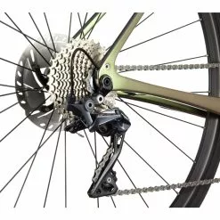 Cannondale Synapse Carbon 2 RL, Beetle Green -Giant Liv Verkäufe 2d01d072 fc5b 4474 81f5 9a21ca95b034