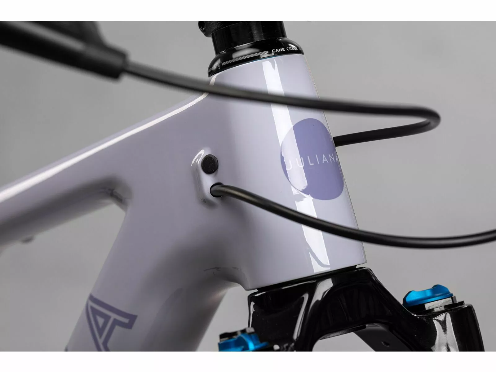 Juliana Wilder C / R / TR / 29, Purple Sweetness / Lavender 5 Juliana Wilder C / R / TR / 29, Purple Sweetness / Lavender – Bild 3