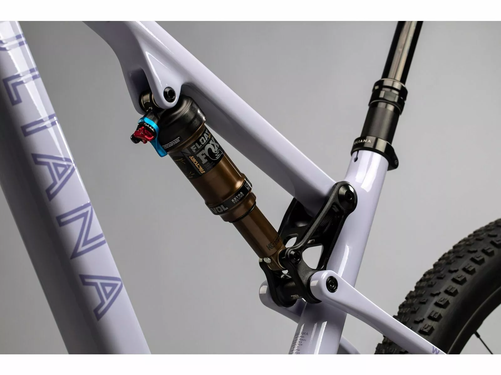 Juliana Wilder C / R / TR / 29, Purple Sweetness / Lavender 6 Juliana Wilder C / R / TR / 29, Purple Sweetness / Lavender – Bild 4