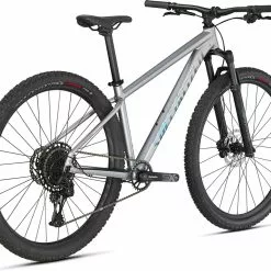 Specialized Rockhopper Expert 29, Silver Dust/black Holographic -Giant Liv Verkäufe 5f974e18 95de 4a2d 9cae daa10ed391ac