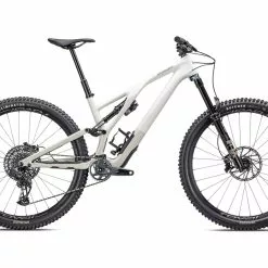 Specialized Stumpjumper Evo Expert, Gloss Birch/taupe