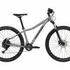 Cannondale Trail Women's 5 - 29, Lavender -Giant Liv Verkäufe 62bac517 737f 4f3b 80a6 9671be4de4b7