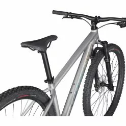 Specialized Rockhopper Expert 29, Silver Dust/black Holographic -Giant Liv Verkäufe 66ba976f cf9d 4a42 85c9 a0ee731e60c0