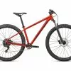 Specialized Rockhopper Comp 29, Redwood/smoke -Giant Liv Verkäufe 66e04c1f 8e3a 4d6c 9723 a1fa053bfcb2