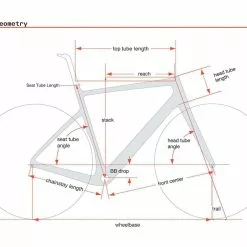Cervelo Aspero-5 Campagnolo Ekar, Moss Plum -Giant Liv Verkäufe 7c6f3ba2 fac1 432a a6cb b984660e77f4