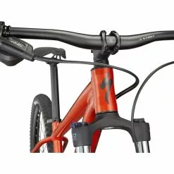 Specialized Rockhopper Comp 29, Redwood/smoke -Giant Liv Verkäufe 9b7c2891 3b33 44ef 93d7 a7b2a3b7507f 1