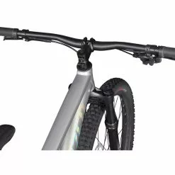 Specialized Rockhopper Expert 29, Silver Dust/black Holographic -Giant Liv Verkäufe 9c78b5cf 8b4a 4231 b6b4 611556d4ab35