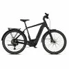 E Bike Adv Tech TREKKING Pro X Diamant -Giant Liv Verkäufe IMG219733 83387 1 1