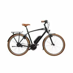 Riese & Müller RIESE & MÜLLER Cruiser Vario 500Wh Intuvia