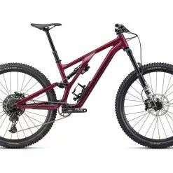 Specialized Stumpjumper Evo Comp Alloy, Gloss Raspberry/back