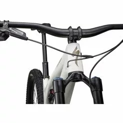 Specialized Stumpjumper Evo Expert, Gloss Birch/taupe -Giant Liv Verkäufe b2f1b6e1 745e 40a5 b024 77b2adc97981