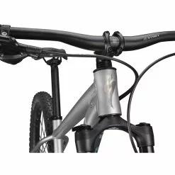 Specialized Rockhopper Expert 29, Silver Dust/black Holographic -Giant Liv Verkäufe c34e330d 9dd5 499f a5f9 fa0326574a6e