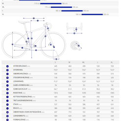 GIANT FastRoad SL 2 Flatbar-Rennrad 18-Gang Mit Scheibenbremsen MJ 2022 -Giant Liv Verkäufe giant fastroad sl 2 flatbar rennrad 18 gang mit scheibenbremsen mj 20227