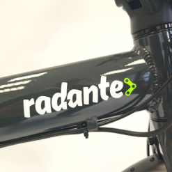 Radante 20 Faltbares E-Bike 20 Zoll 7-Gang Mit Gepäckträger & Frontkorb Nur 19 Kg -Giant Liv Verkäufe radante 20 faltbares e bike 20 zoll 7 gang mit gepaecktraeger frontkorb nur 19 kg3